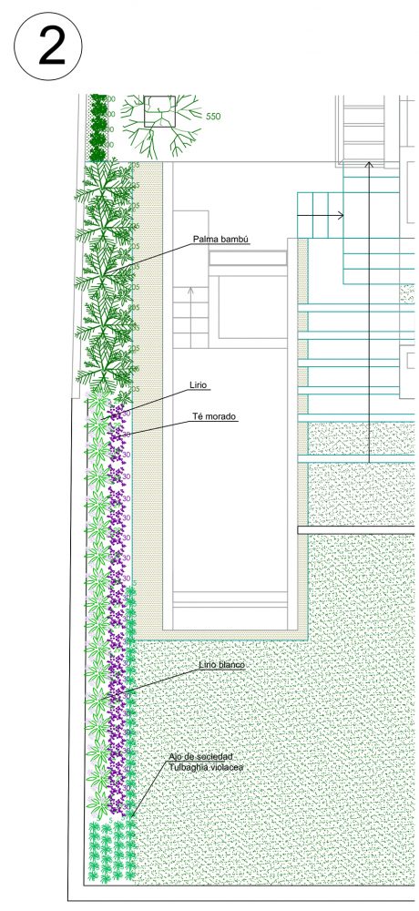 Plano de plantío de la zona 2 del proyecto de paisajismo de la casa t