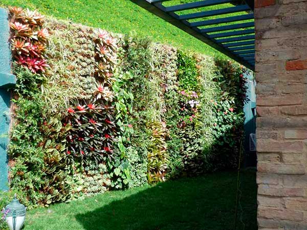 aleroarquitectura-paisajismo-casa-t-jardin-muro-vegetal-portafolio